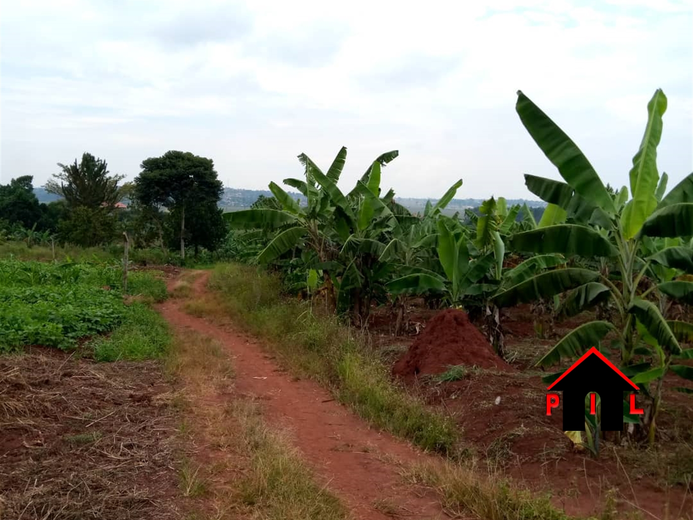 Agricultural Land for sale in Matongo Butambala