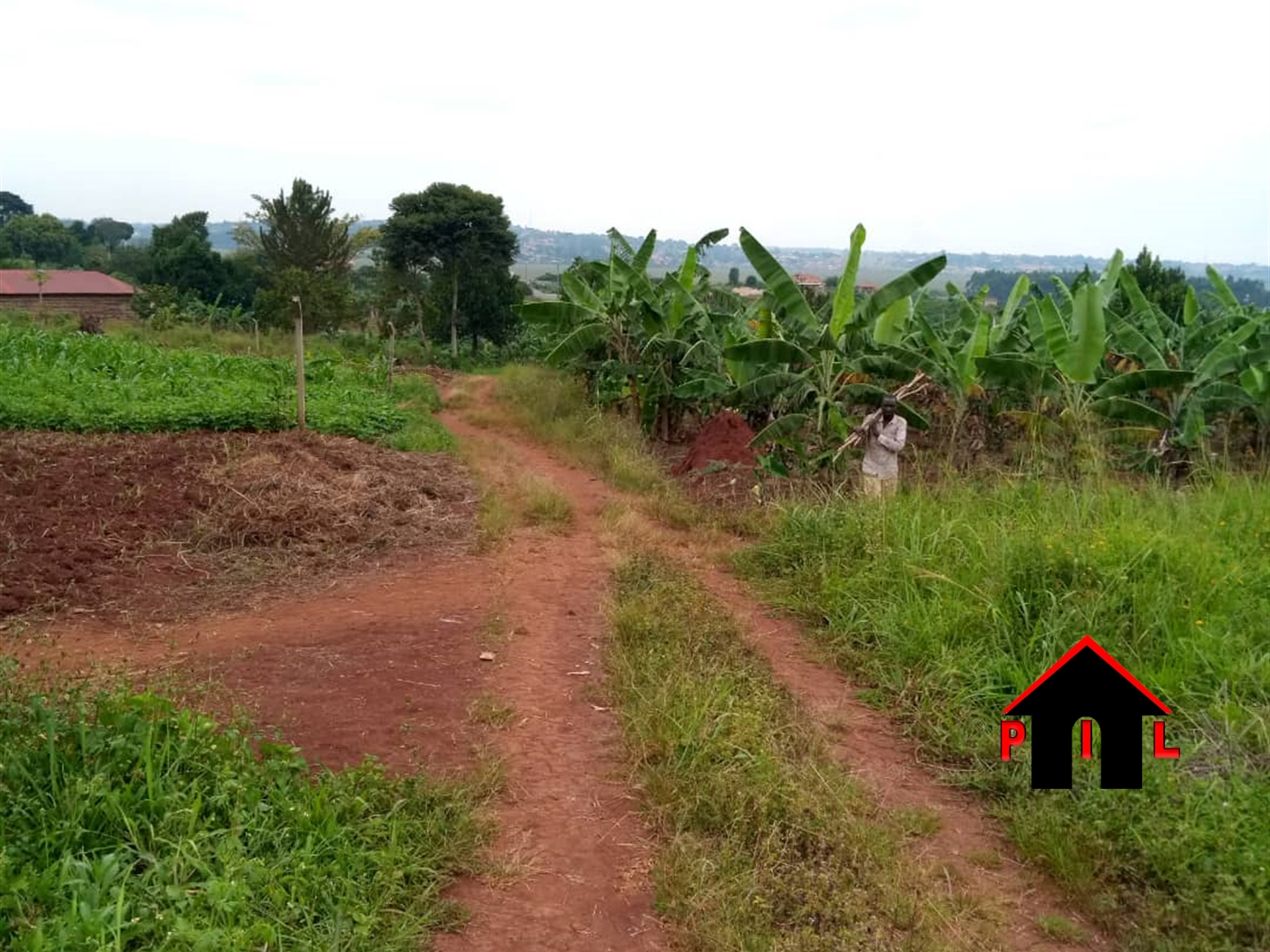 Agricultural Land for sale in Matongo Butambala