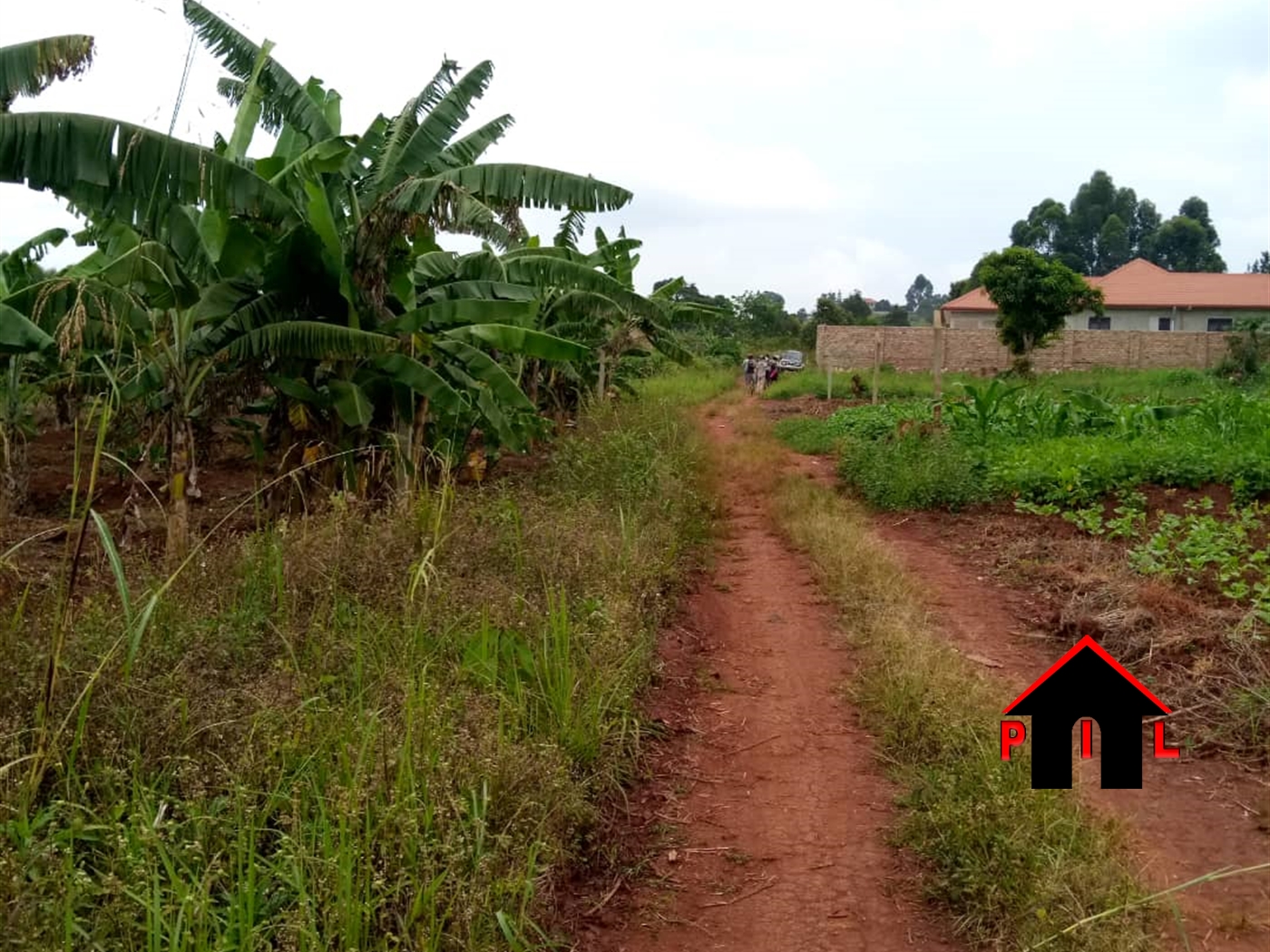 Agricultural Land for sale in Matongo Butambala