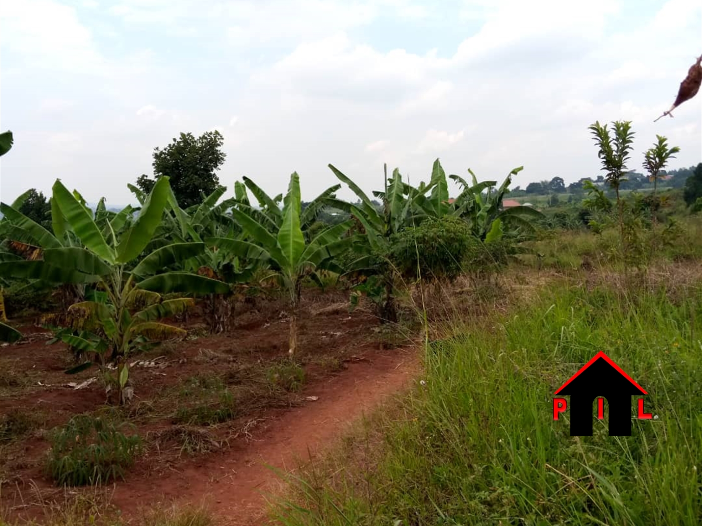 Agricultural Land for sale in Matongo Butambala