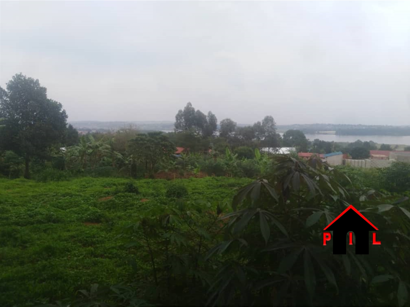 Residential Land for sale in Kasenyi Wakiso