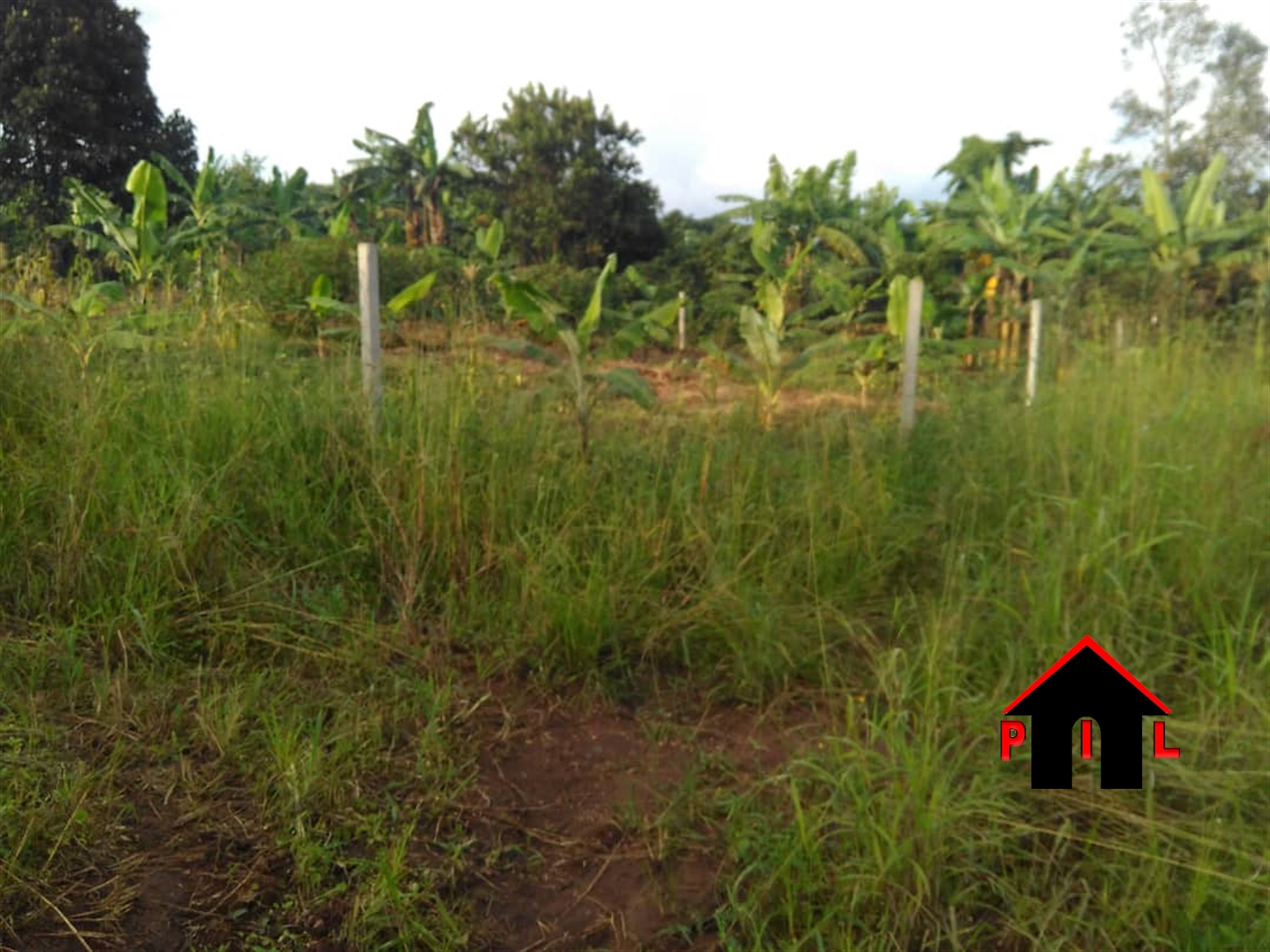 Residential Land for sale in Nsangi Masaka