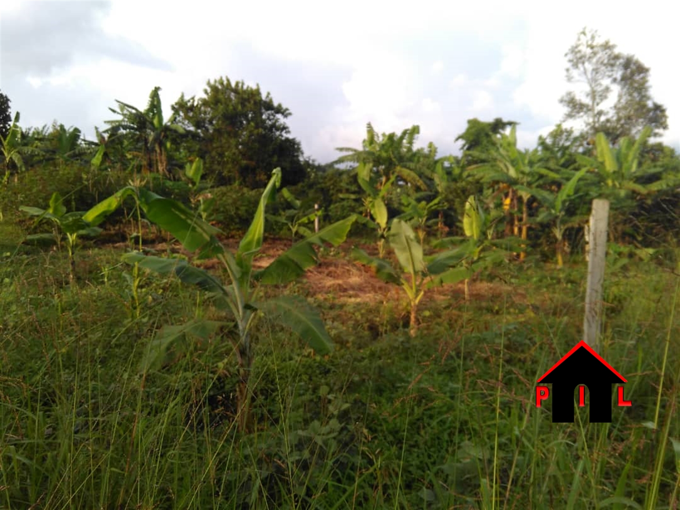 Residential Land for sale in Nsangi Masaka