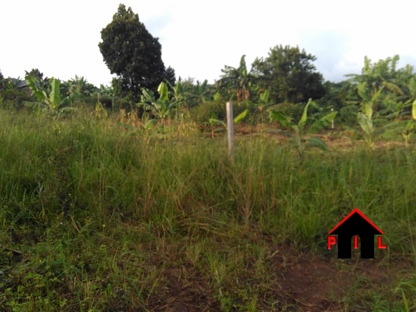 Residential Land for sale in Nsangi Masaka