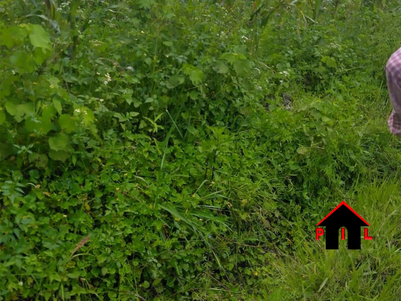 Residential Land for sale in Gobelo Wakiso