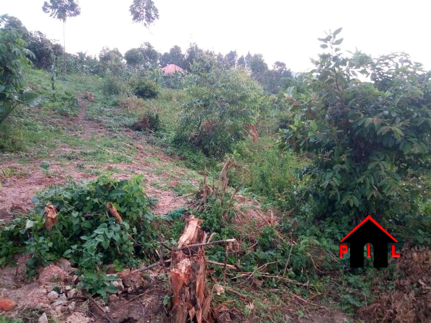 Agricultural Land for sale in Kapeeka Nakaseke