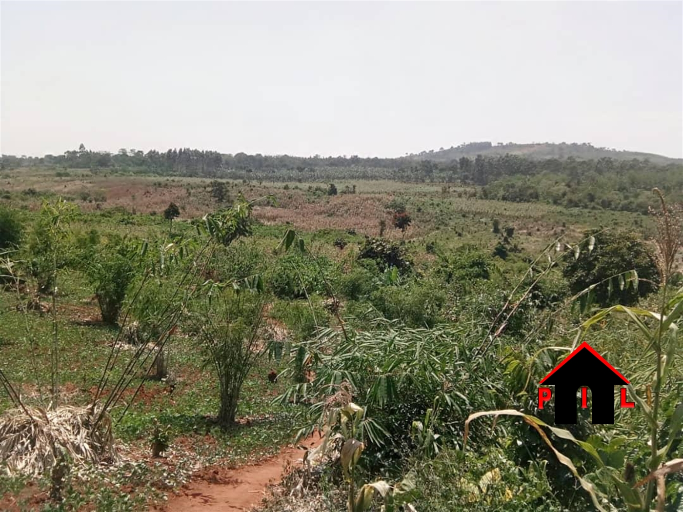 Residential Land for sale in Magere Wakiso