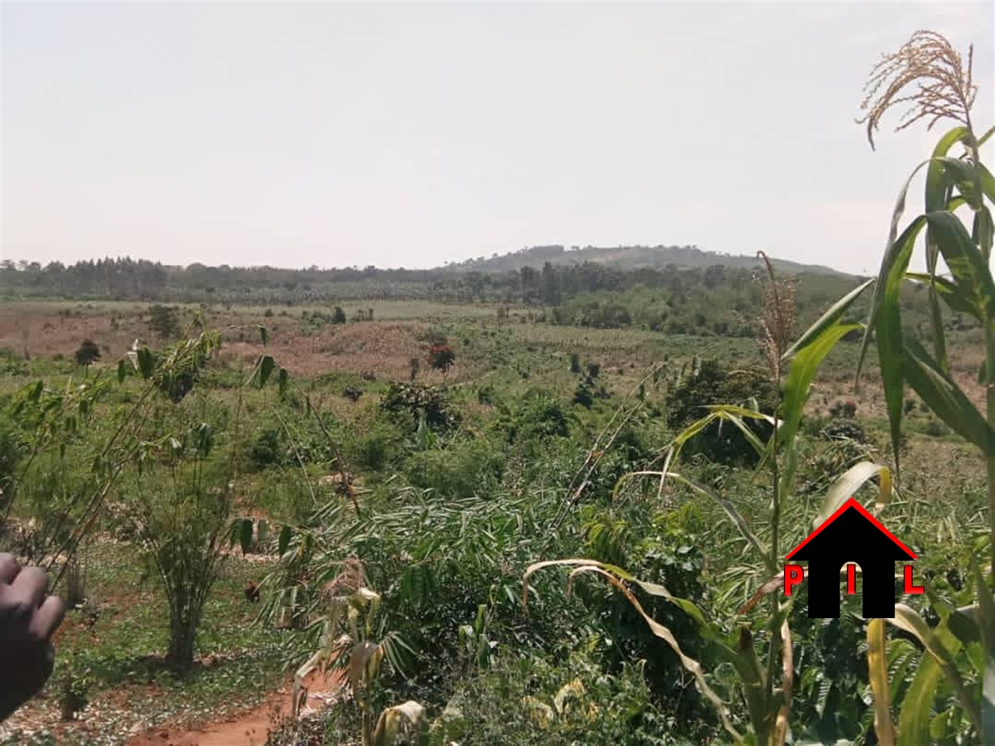 Residential Land for sale in Magere Wakiso