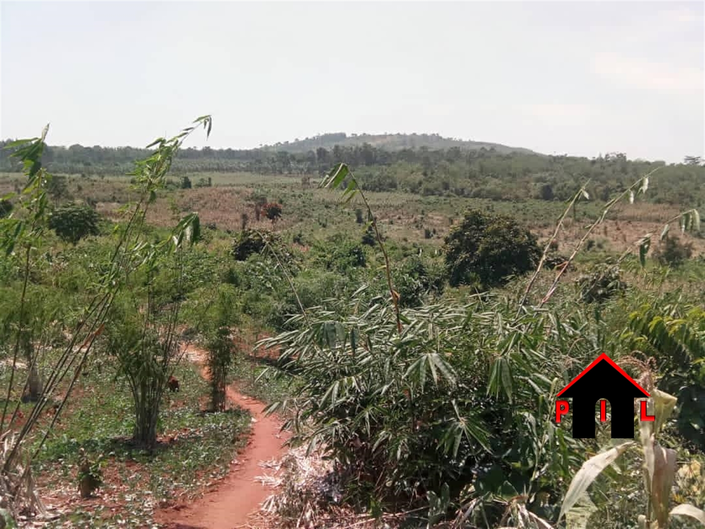 Residential Land for sale in Magere Wakiso