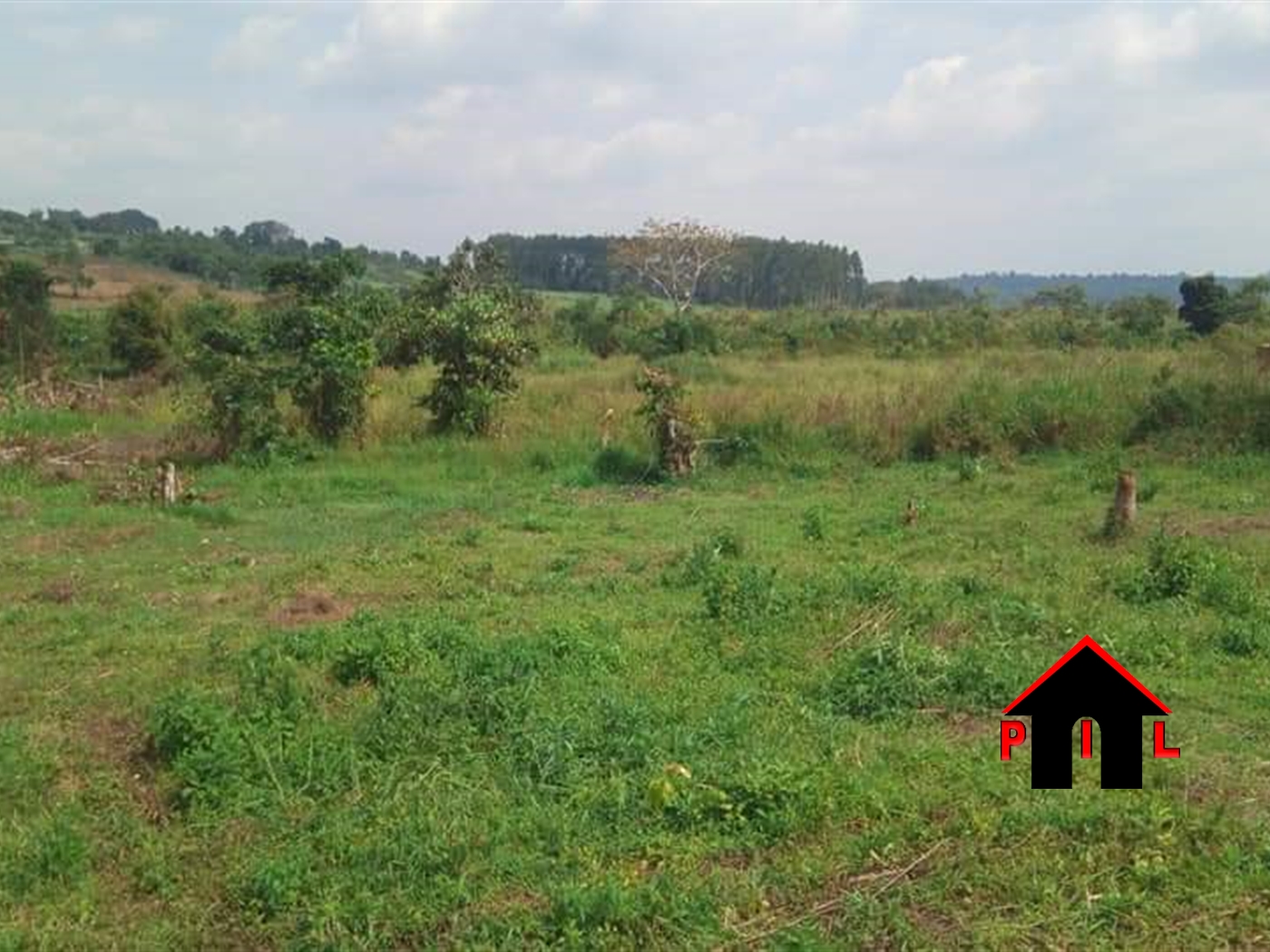 Residential Land for sale in Akright Wakiso