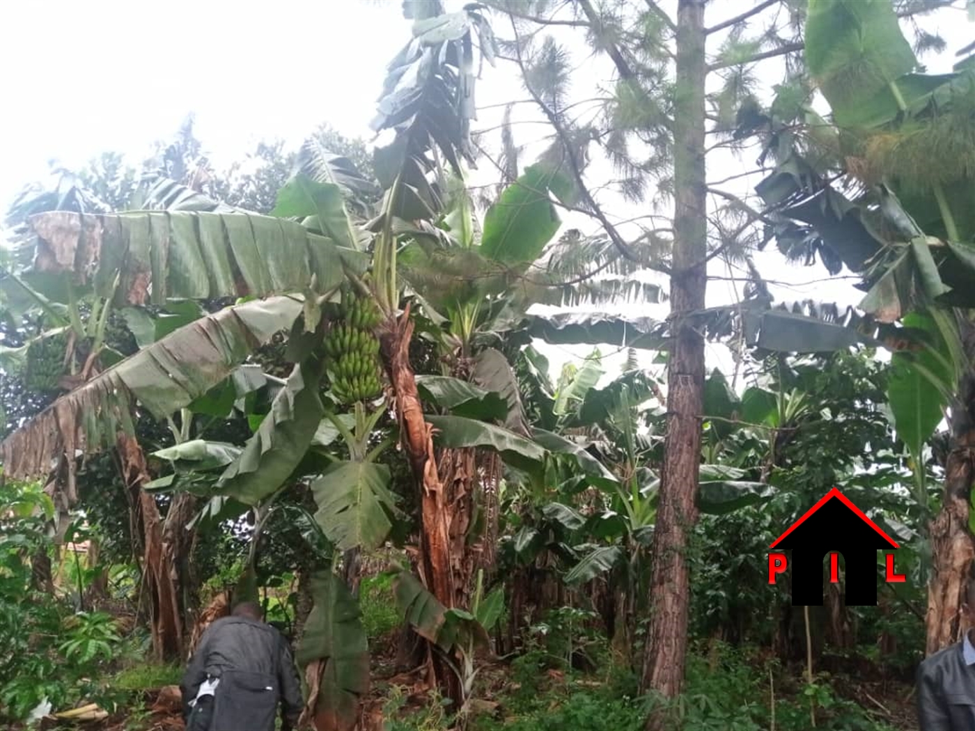 Residential Land for sale in Gombe Wakiso