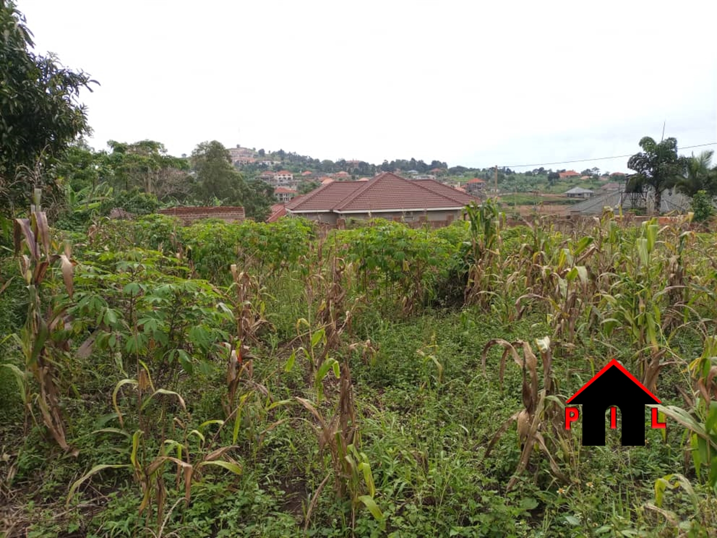 Residential Land for sale in Misindye Wakiso