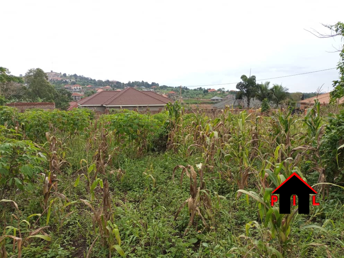 Residential Land for sale in Misindye Wakiso