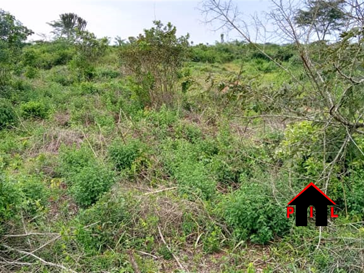 Agricultural Land for sale in Wakyato Nakaseke