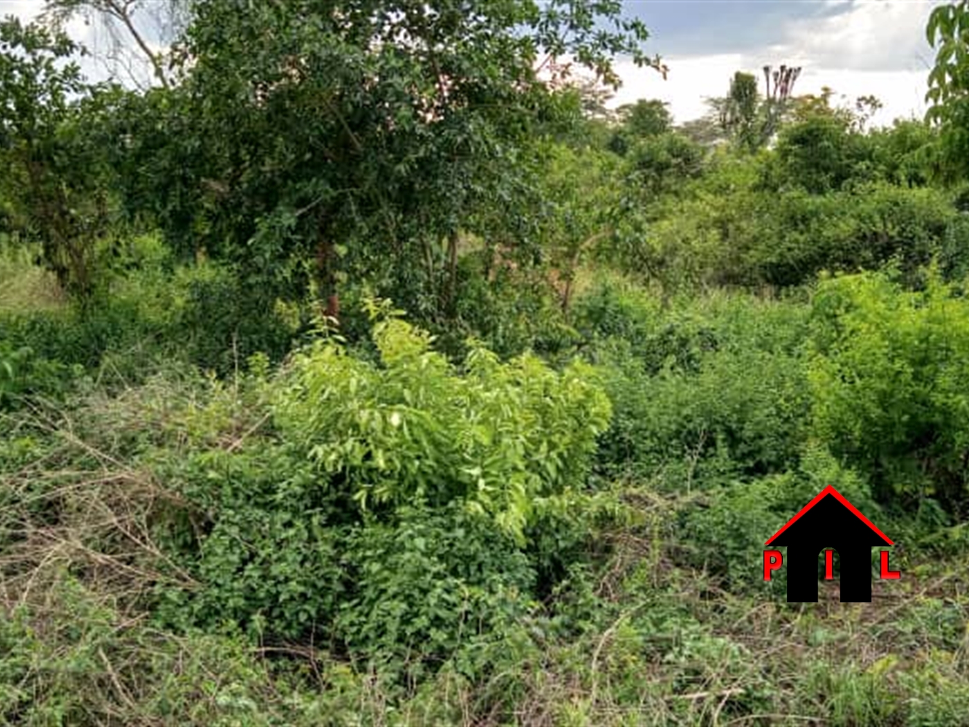 Agricultural Land for sale in Wakyato Nakaseke