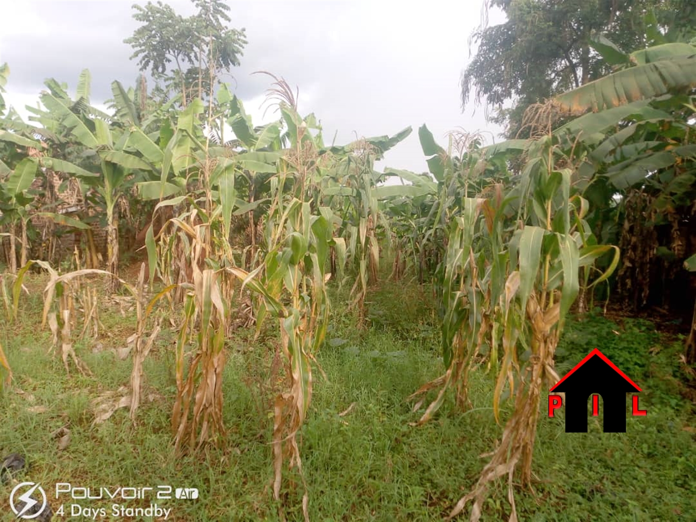 Residential Land for sale in Kitukutwe Wakiso