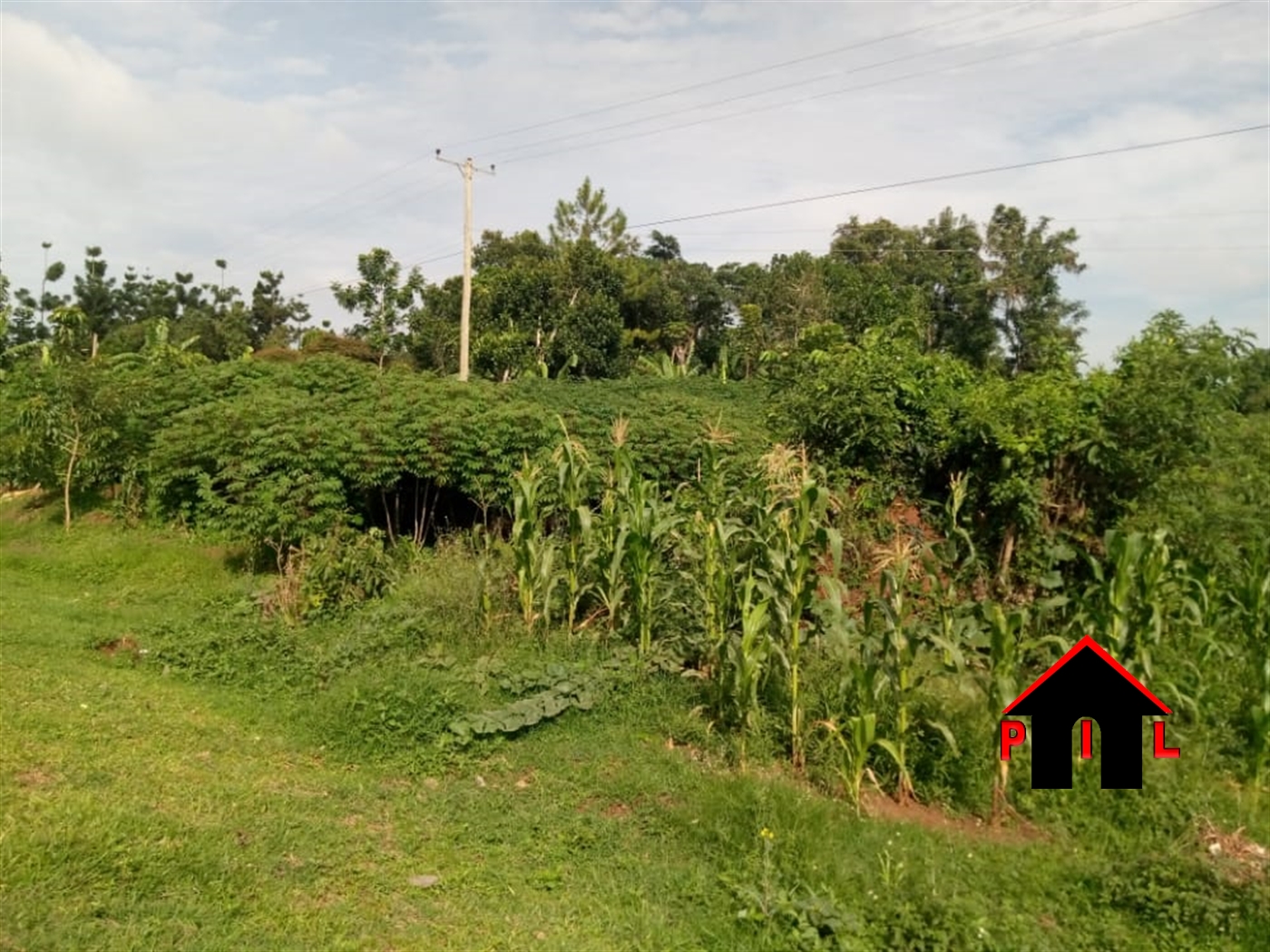 Residential Land for sale in Buyala Mityana