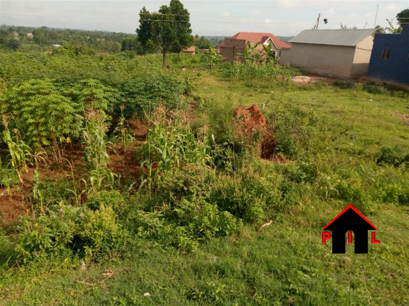 Residential Land for sale in Buyala Mityana