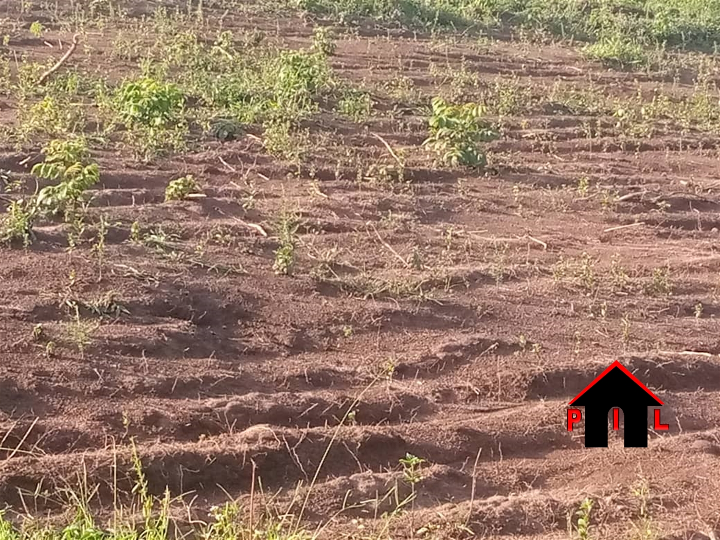 Residential Land for sale in Kakelenge Wakiso