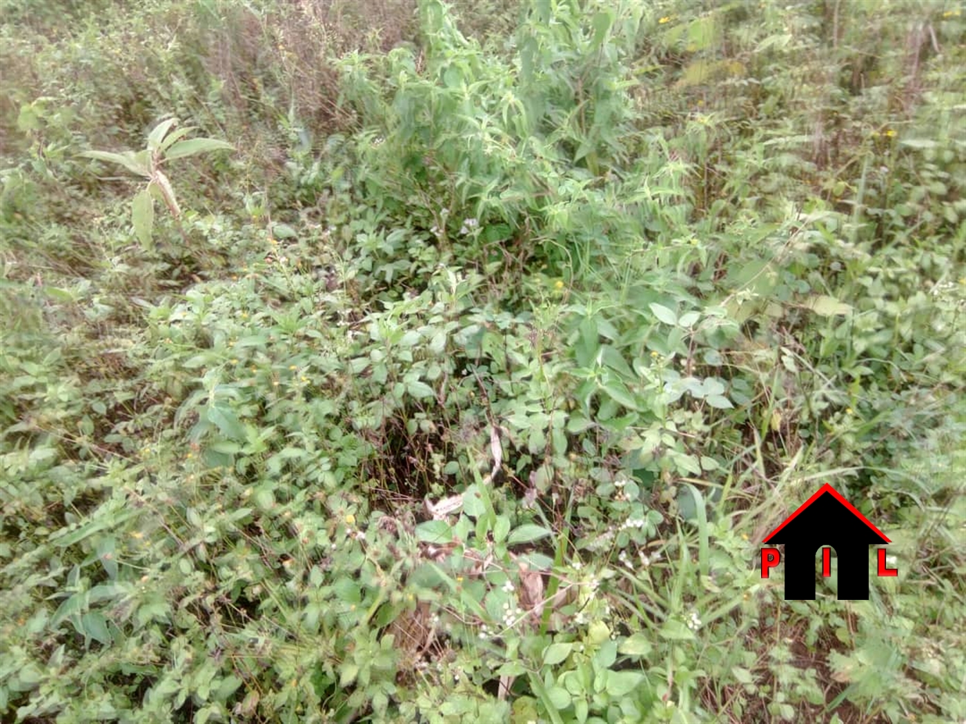 Residential Land for sale in Canaan Mukono
