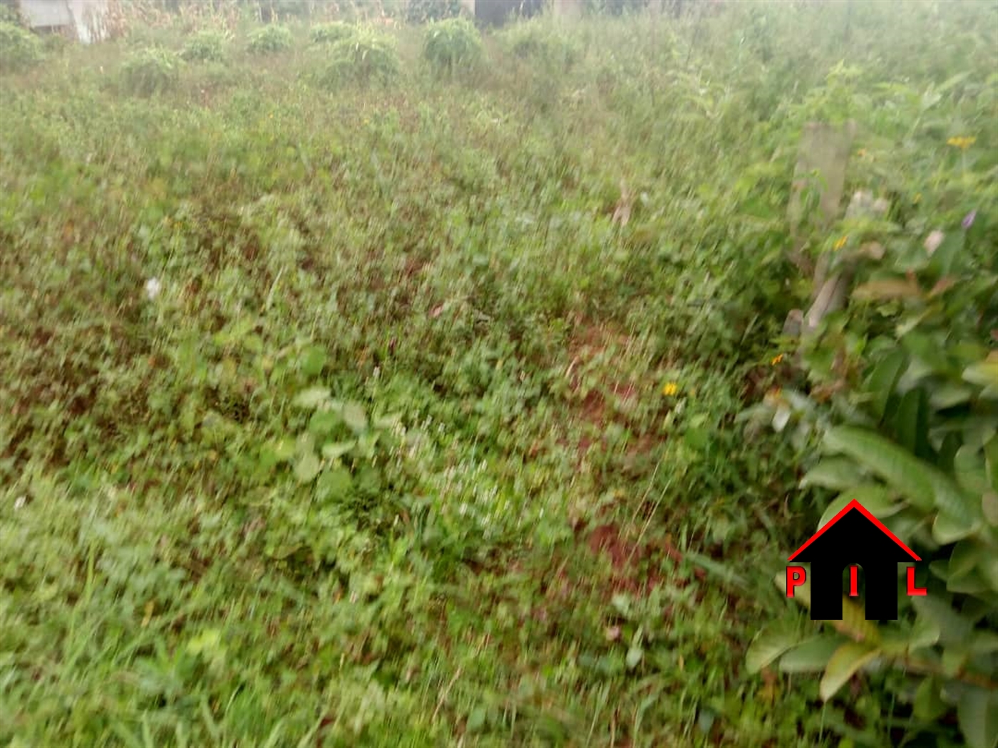 Residential Land for sale in Canaan Mukono