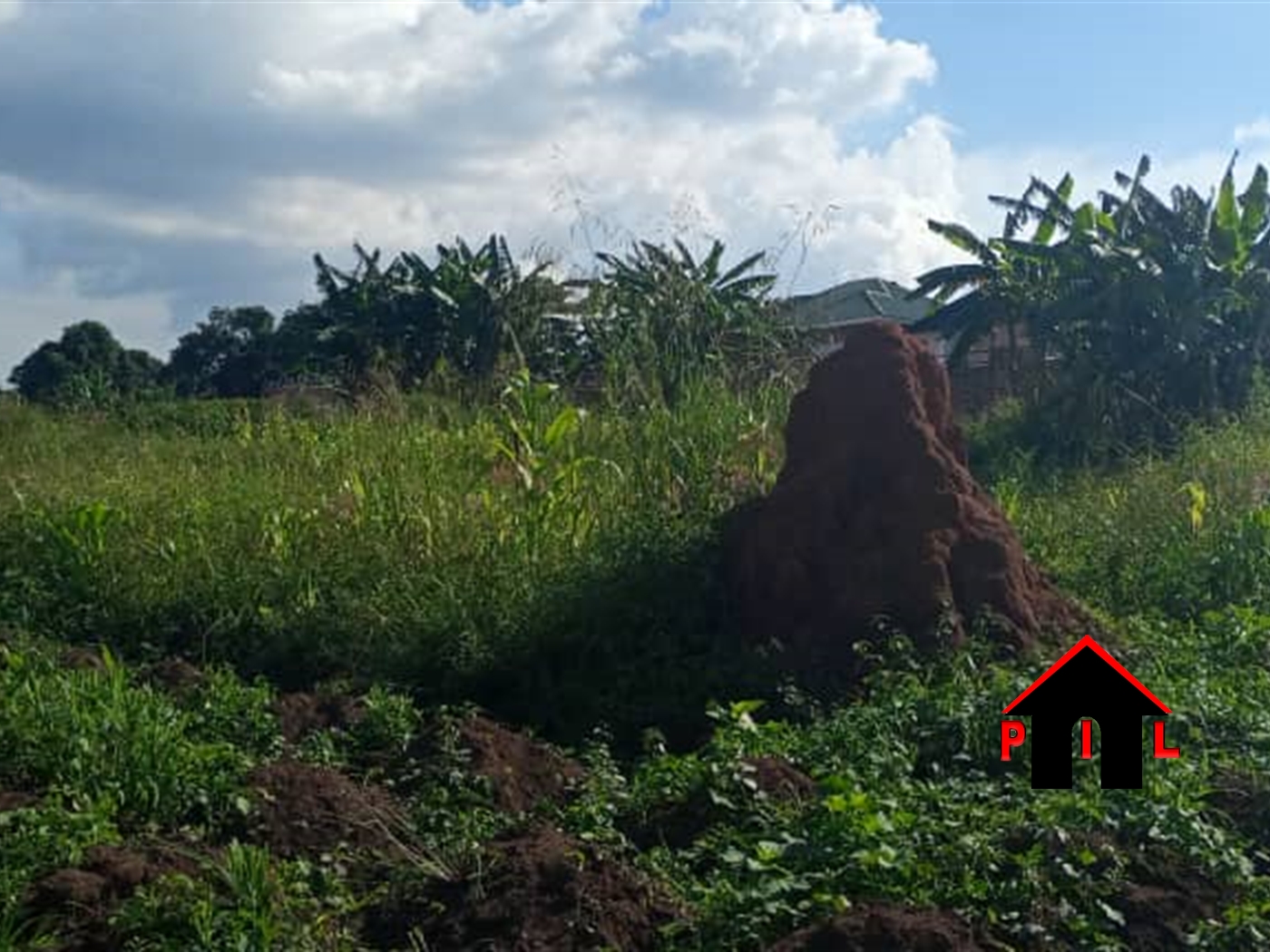 Residential Land for sale in Busukuma Wakiso