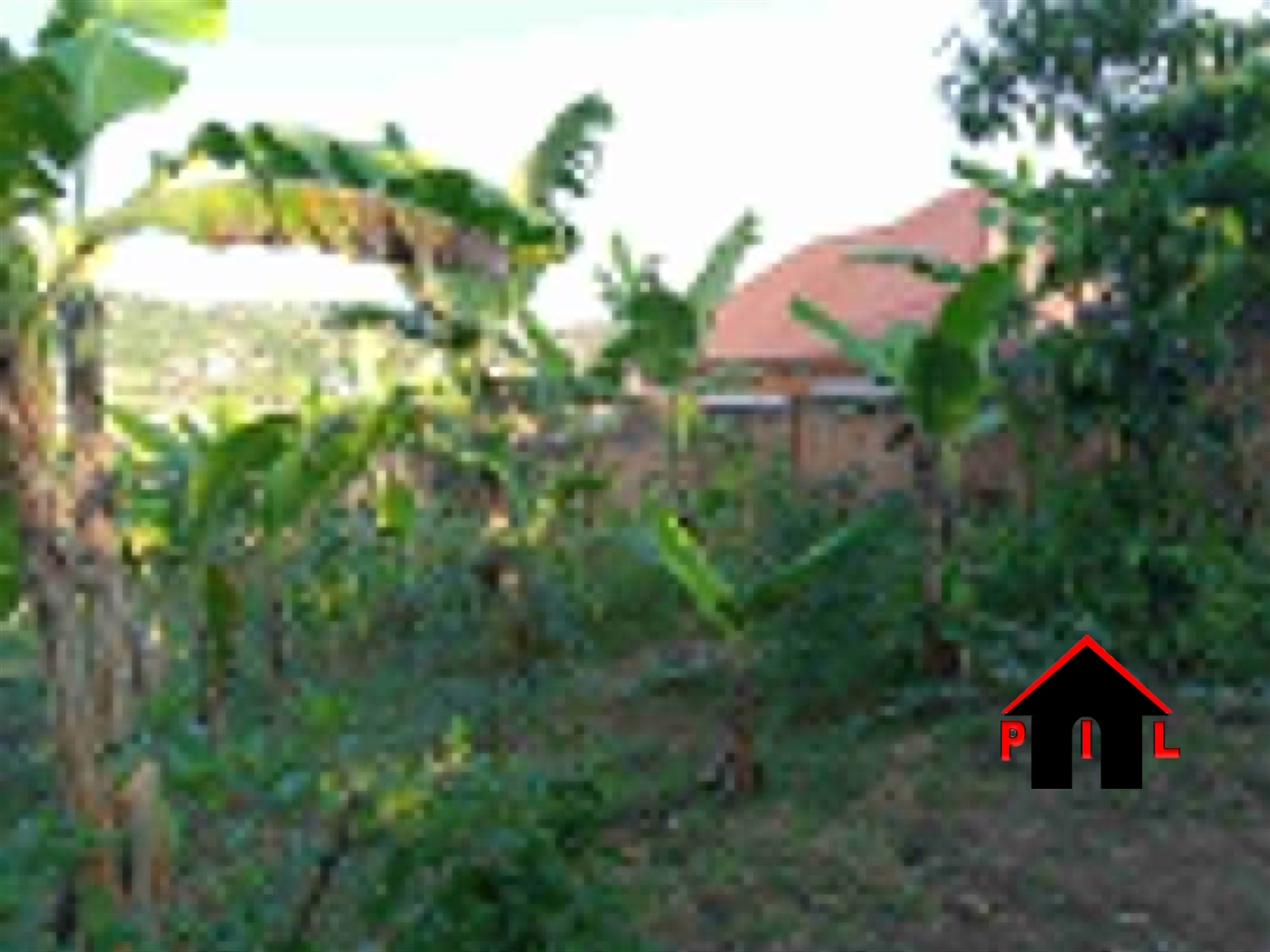 Residential Land for sale in Nsangi Masaka