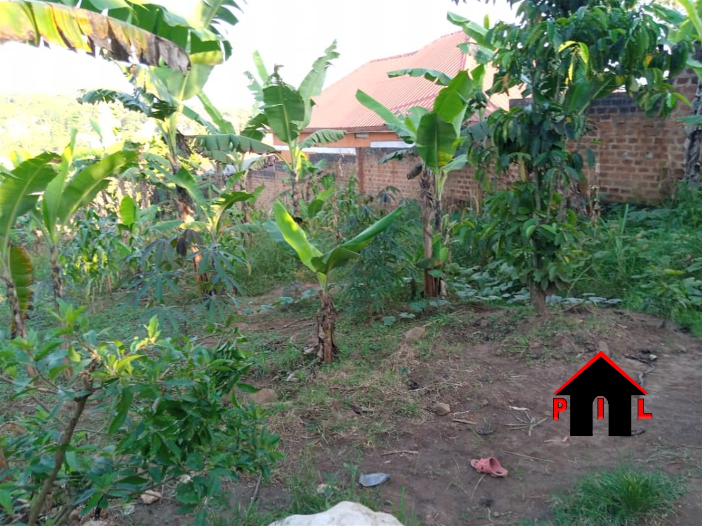 Residential Land for sale in Nsangi Masaka