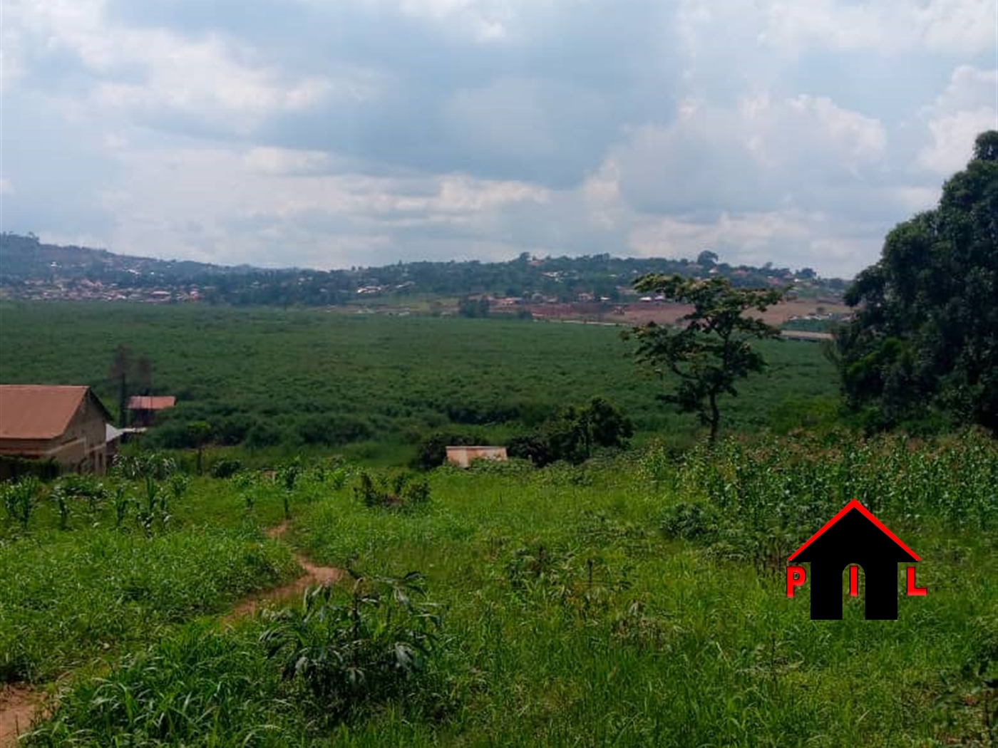 Agricultural Land for sale in Namawojja Luweero