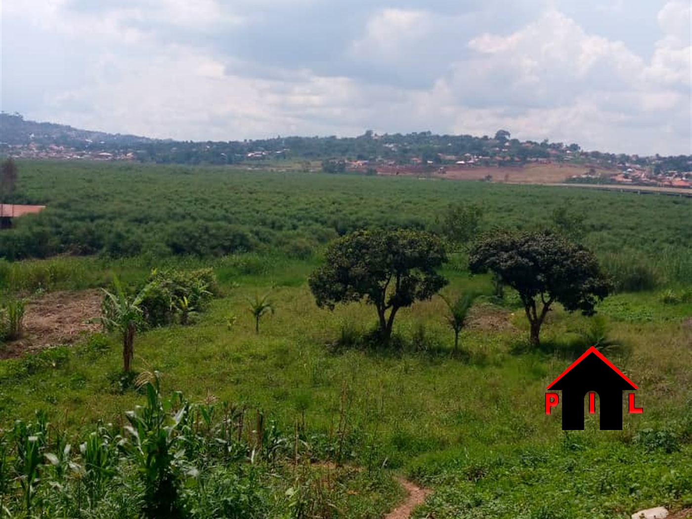 Agricultural Land for sale in Namawojja Luwero