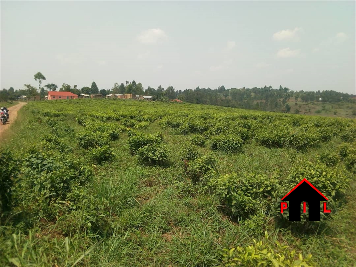 Agricultural Land for sale in Wabitungulu Luweero