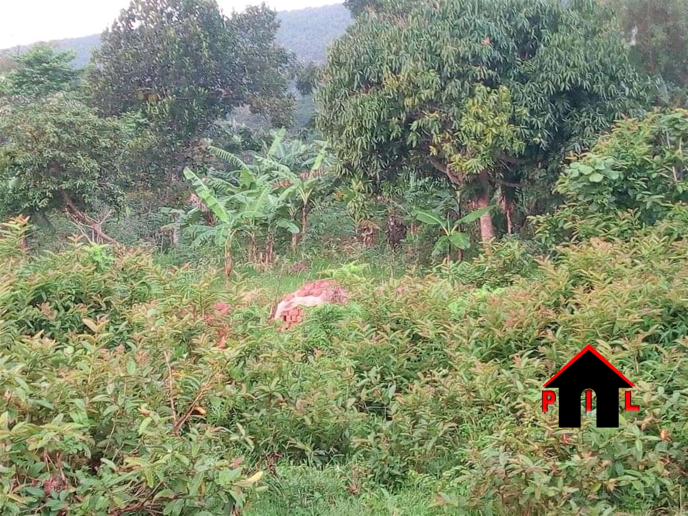 Commercial Land for sale in Namawojja Luweero