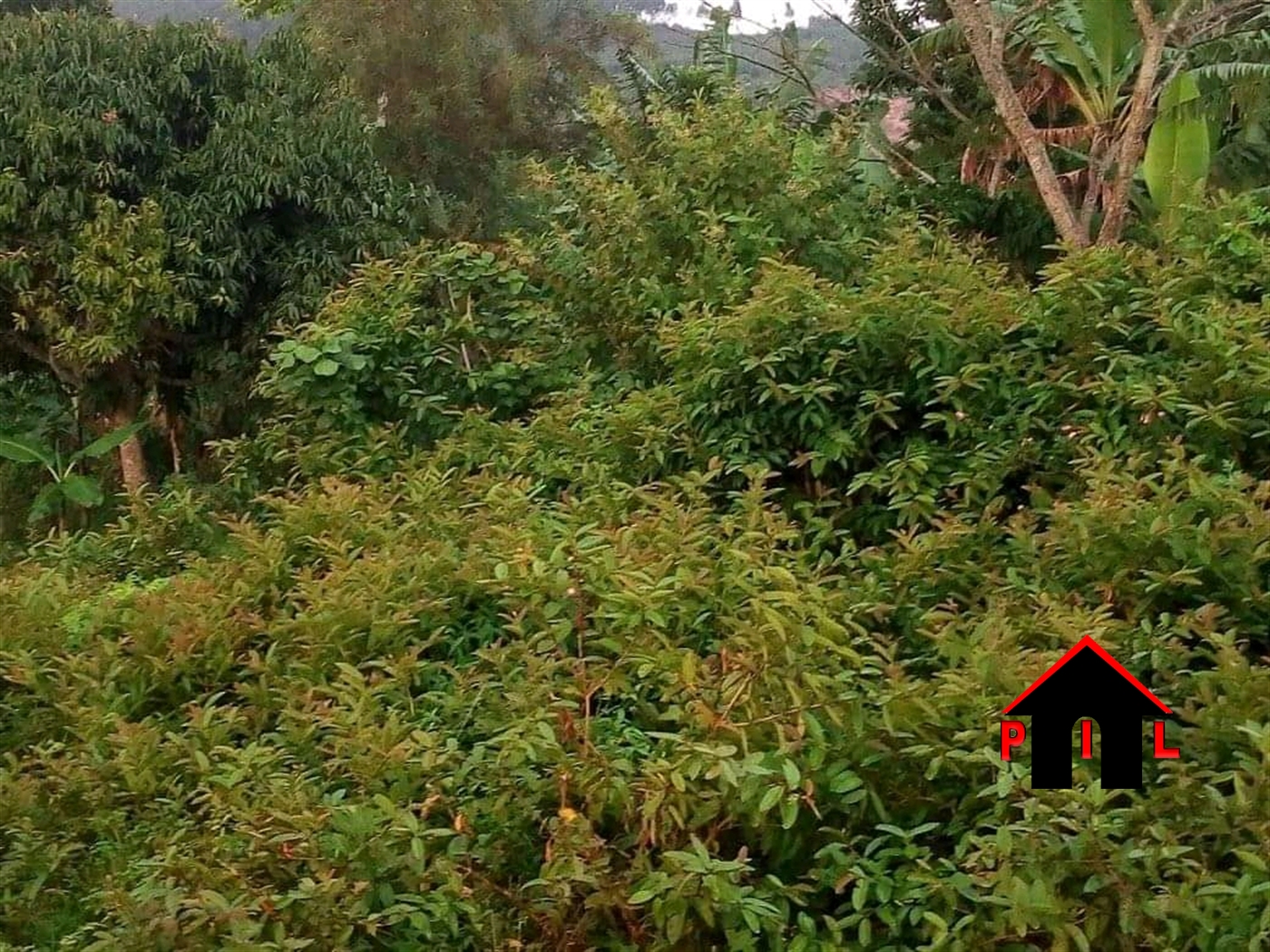 Commercial Land for sale in Namawojja Luweero