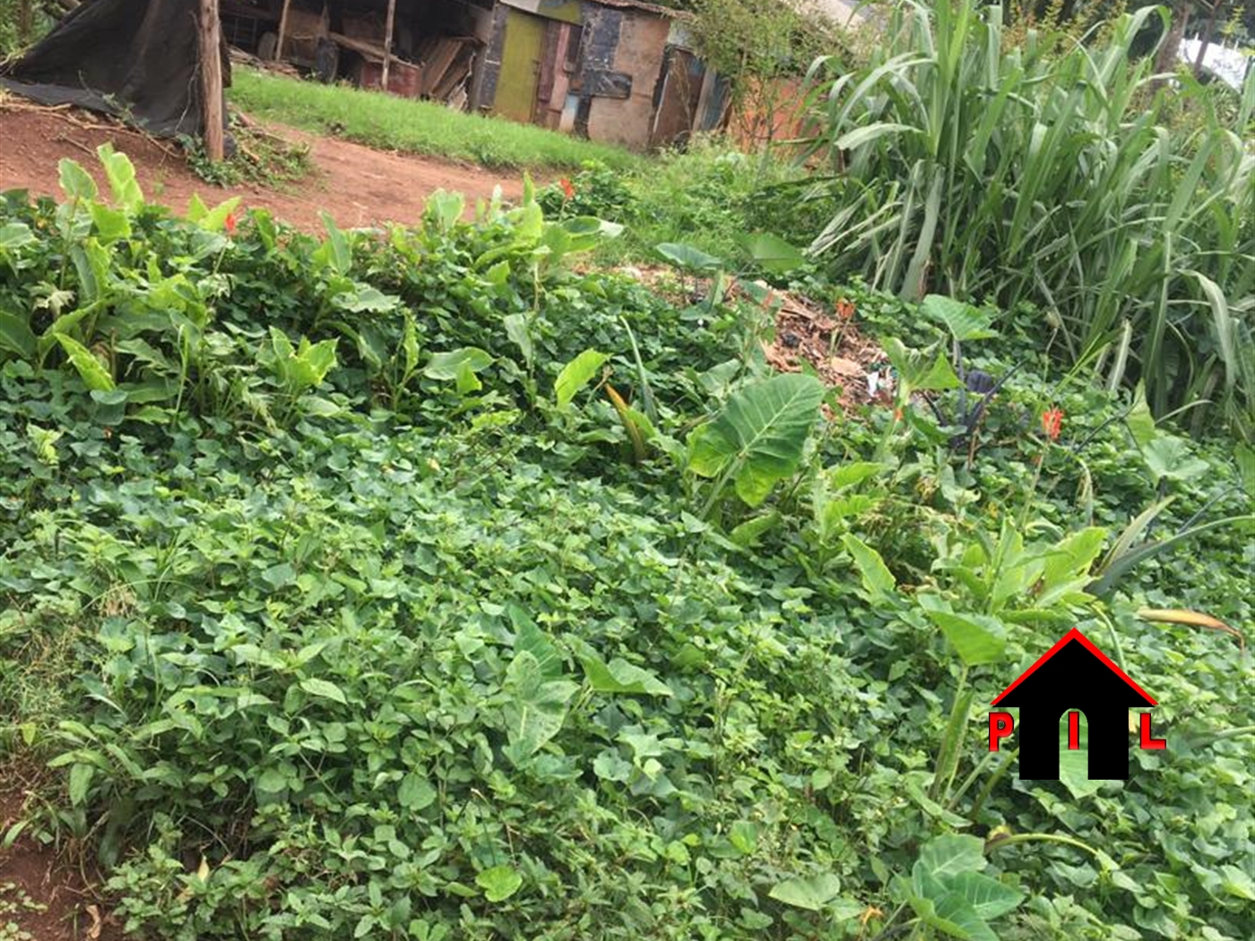 Residential Land for sale in Lubowa Wakiso