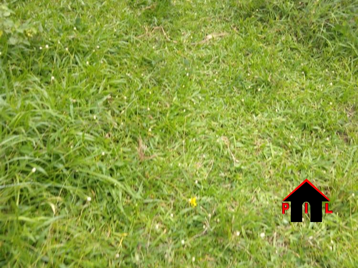 Agricultural Land for sale in Gomba Masaka