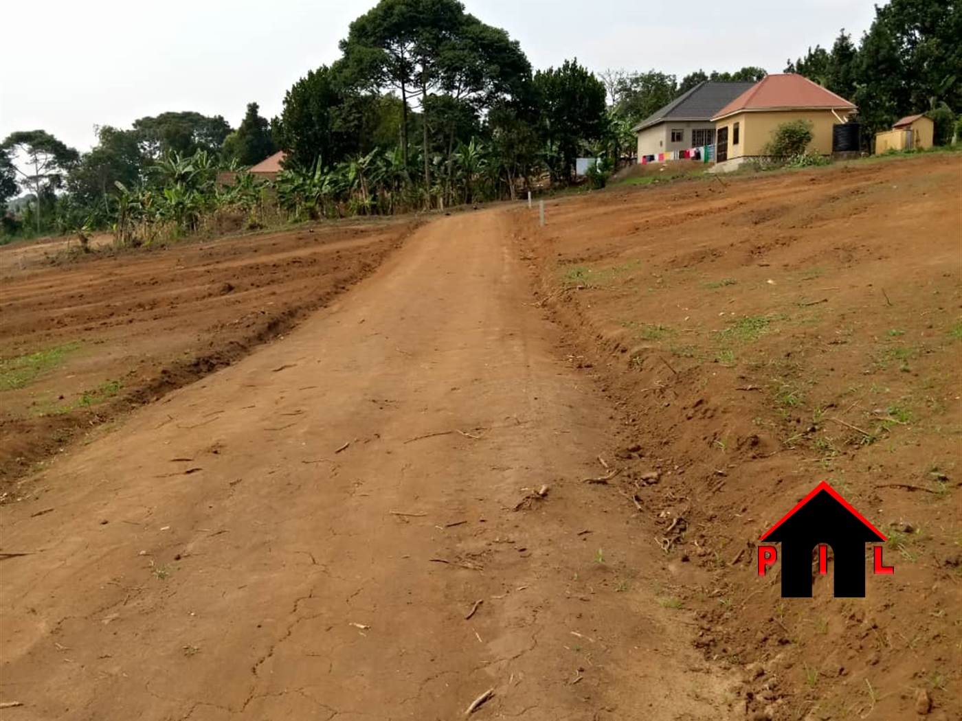 Agricultural Land for sale in Ziloobwe Luweero