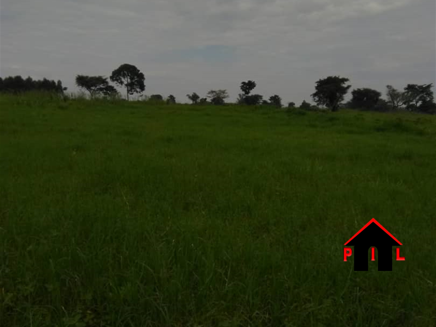 Agricultural Land for sale in Kapeeka Kalungu