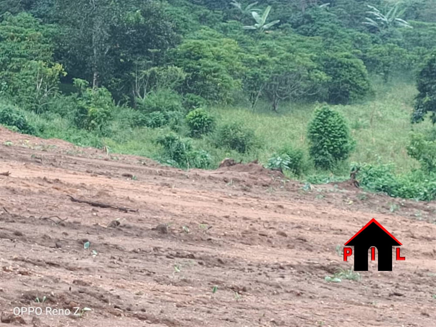Agricultural Land for sale in Wanonda Luweero
