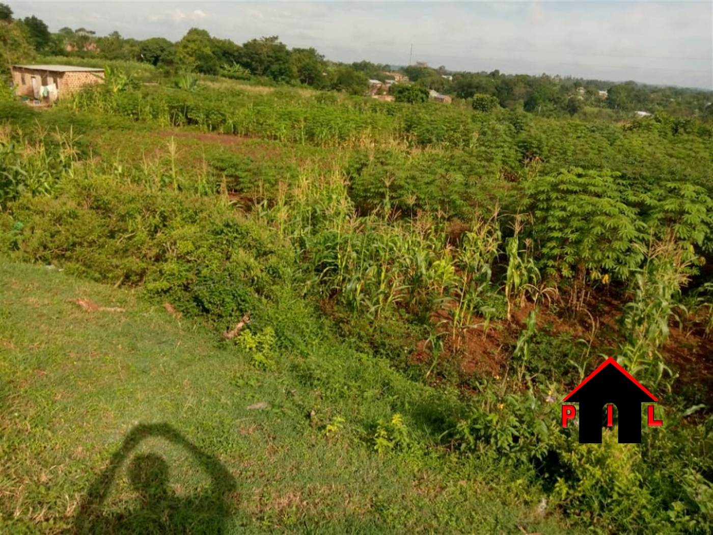 Residential Land for sale in Naggalama Mukono