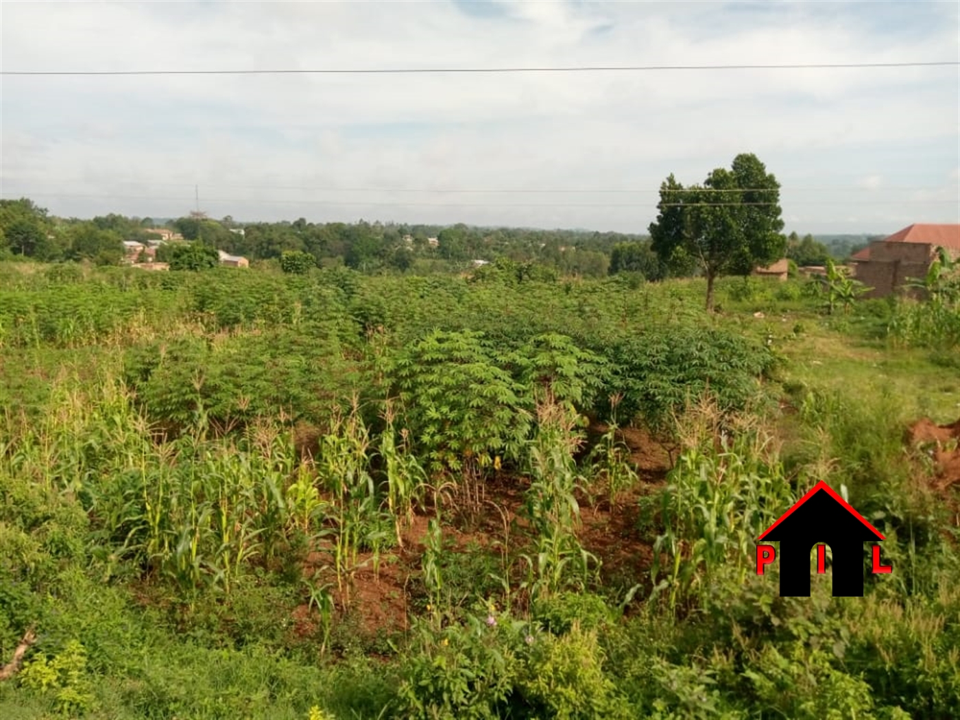 Residential Land for sale in Naggalama Mukono