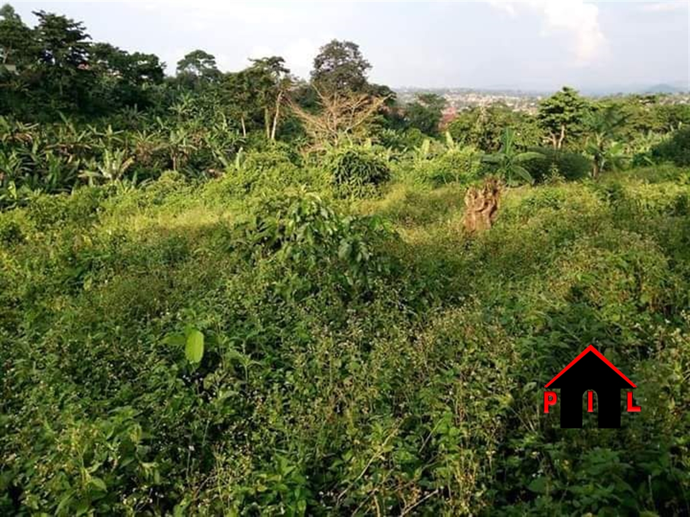 Residential Land for sale in Nsuube Mukono