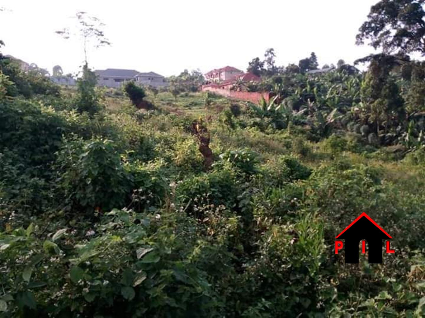 Residential Land for sale in Nsuube Mukono