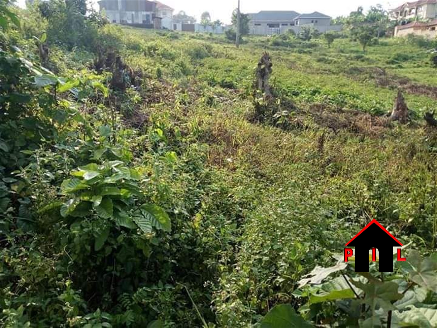 Residential Land for sale in Nsuube Mukono