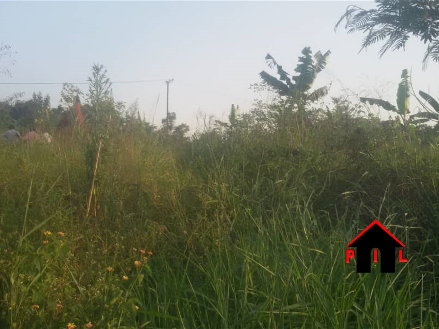 Agricultural Land for sale in Kangulumira Kayunga