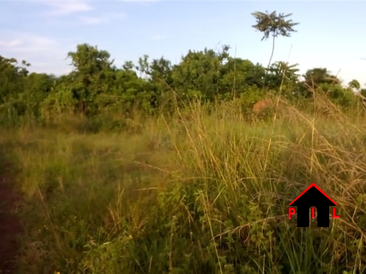 Agricultural Land for sale in Kasanjje Kampala