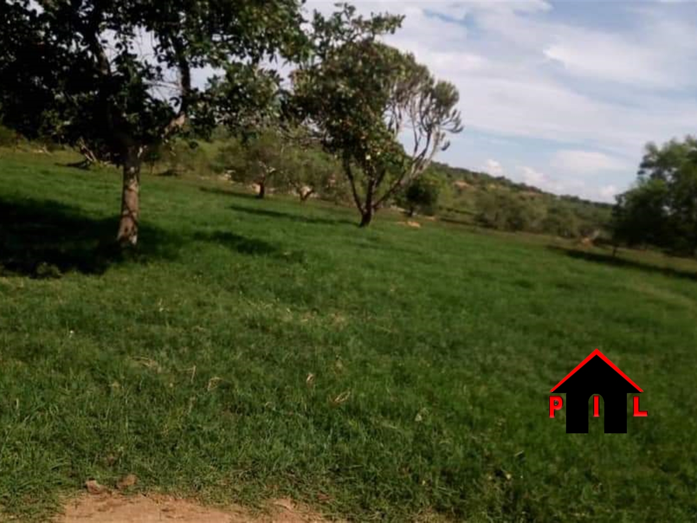 Agricultural Land for sale in Nshara Mbarara