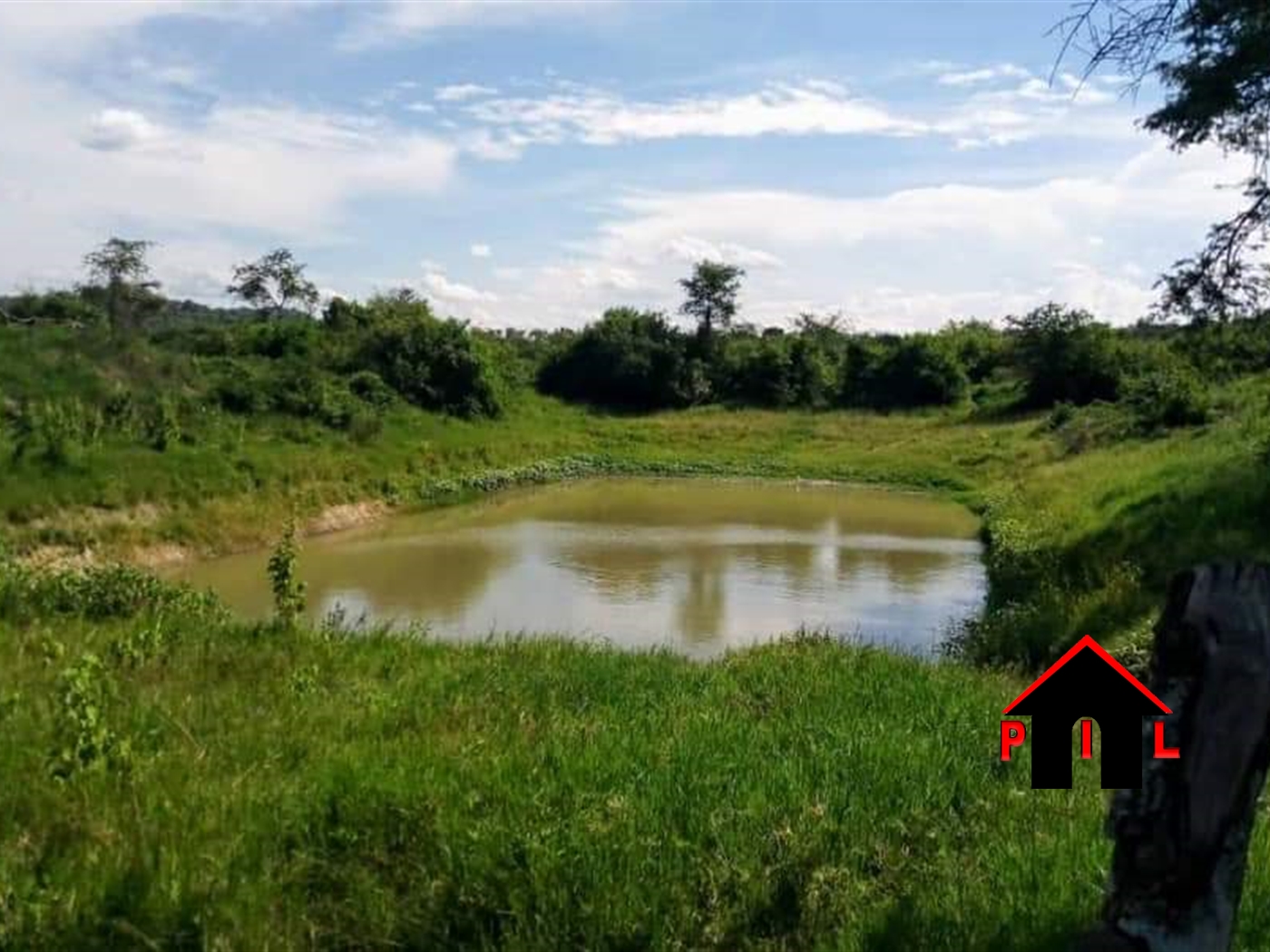 Agricultural Land for sale in Nshara Mbarara