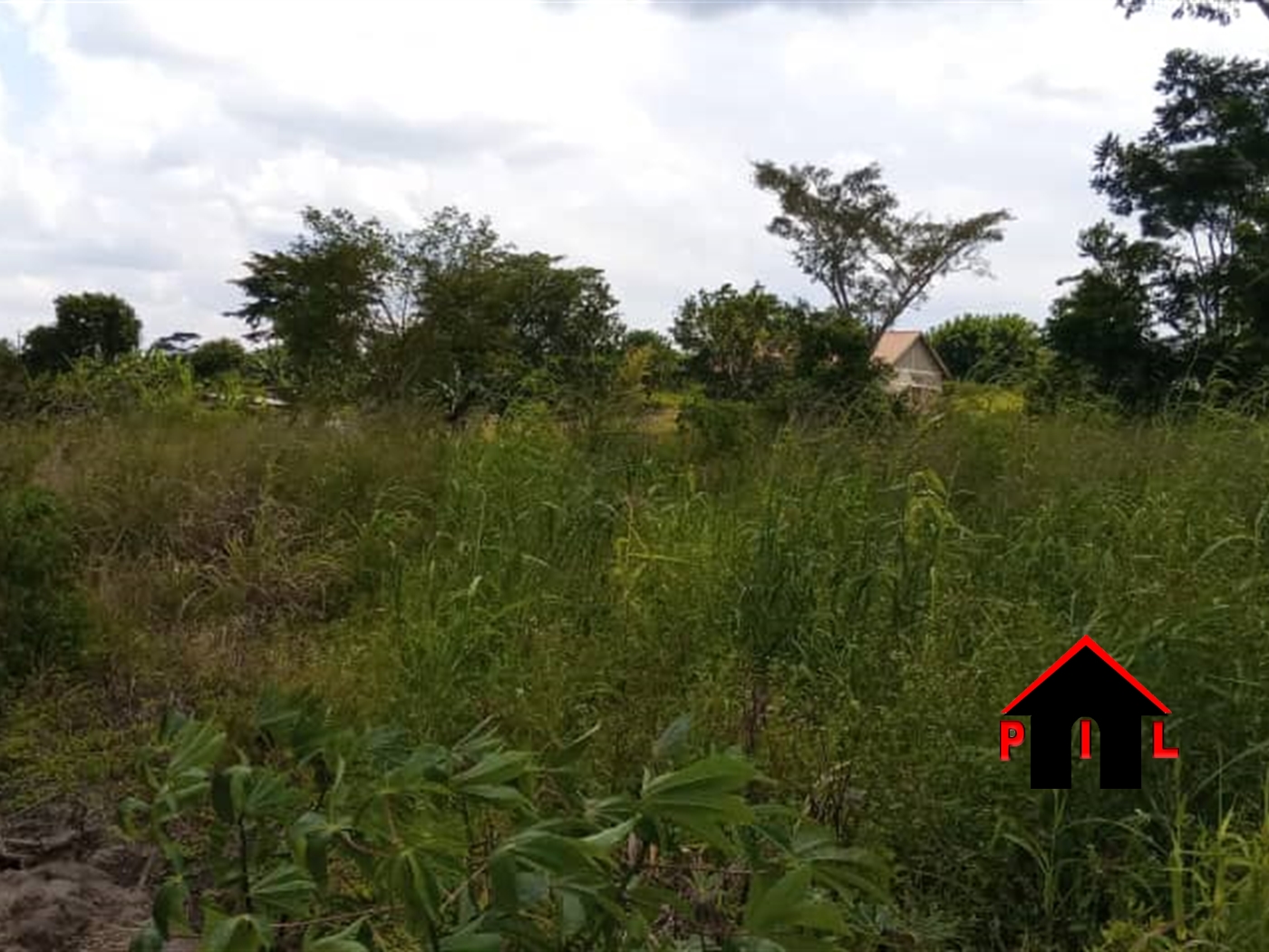 Agricultural Land for sale in Kabubbu Kampala