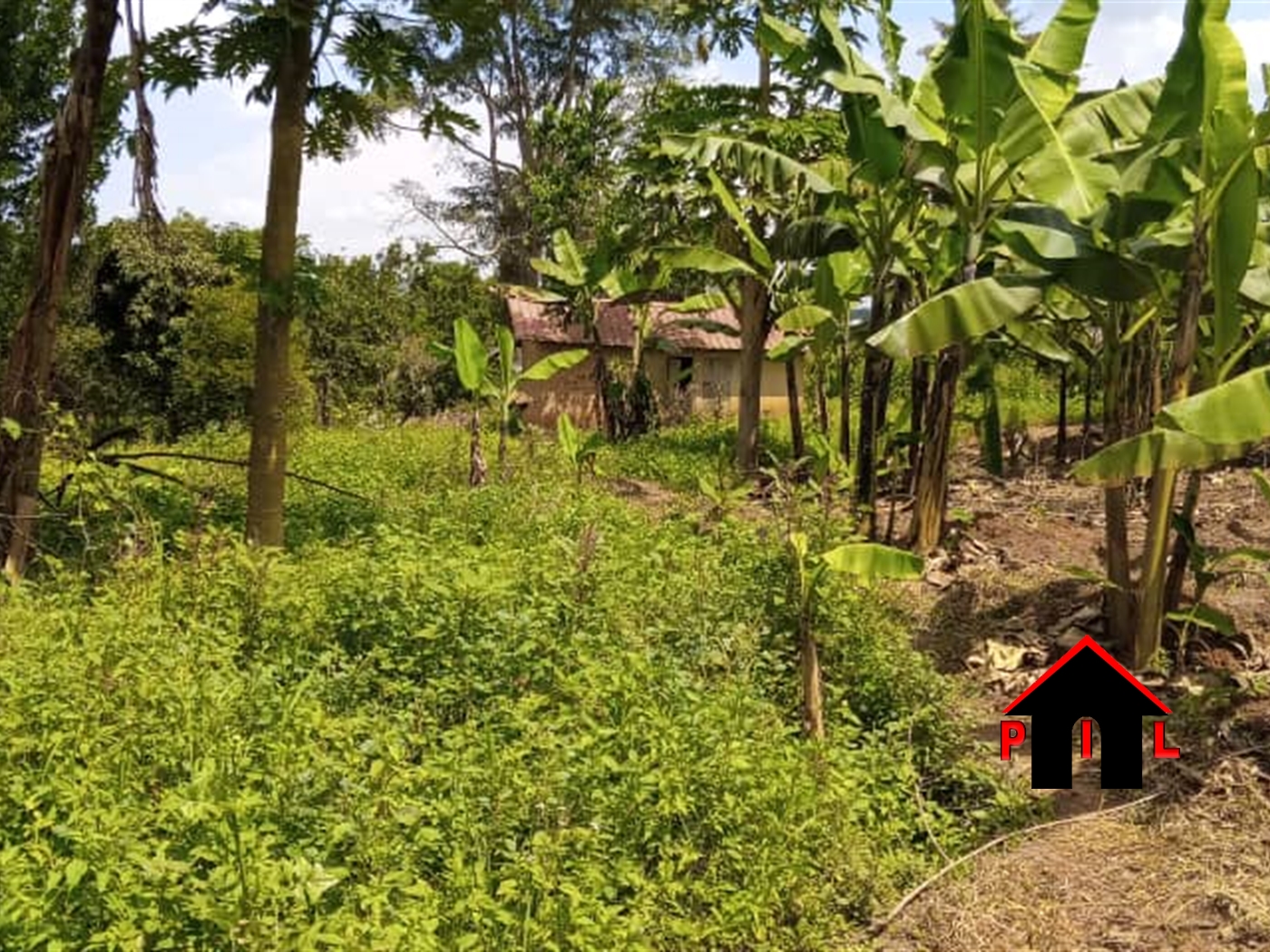 Agricultural Land for sale in Kabubbu Kampala