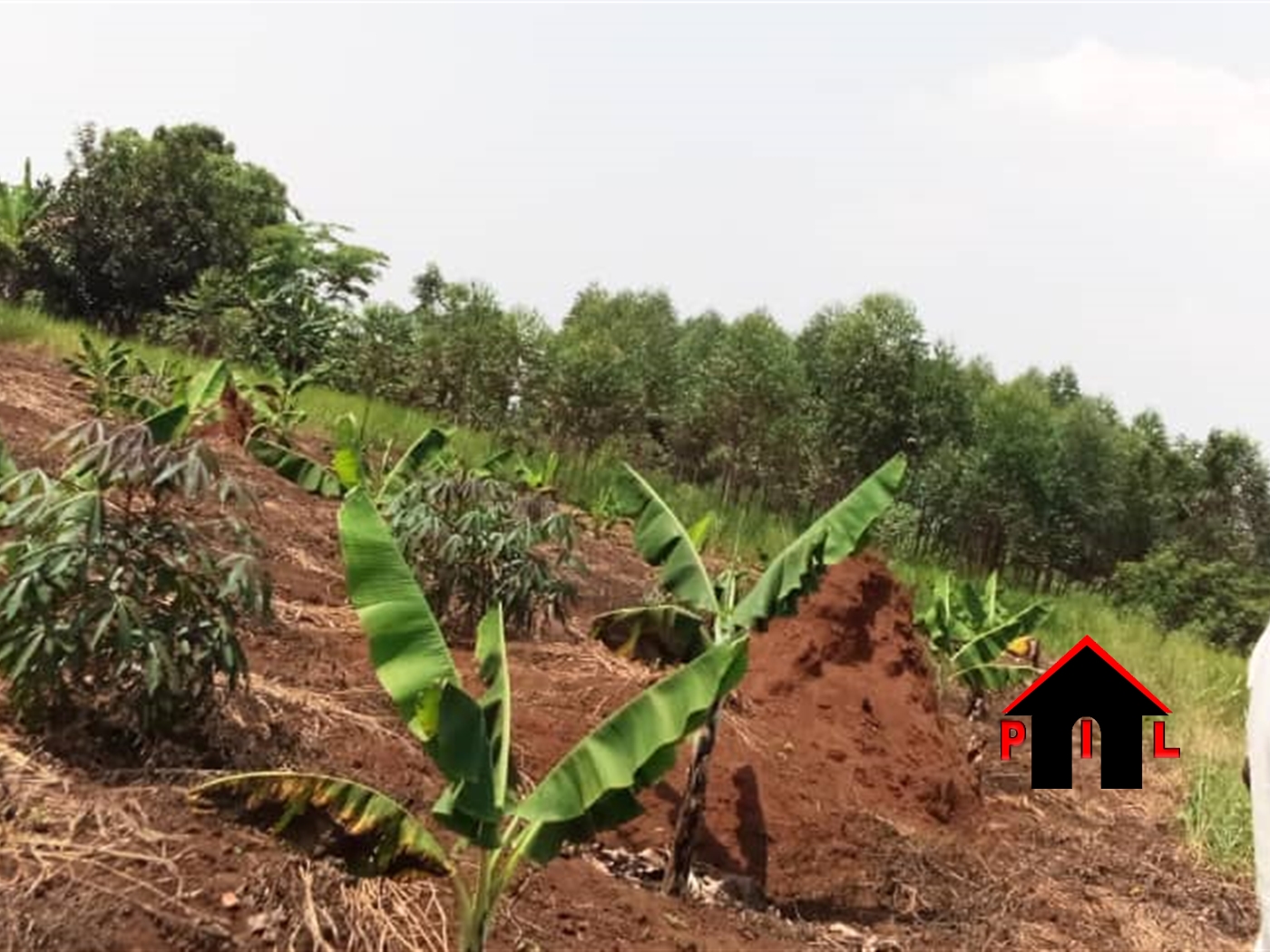 Residential Land for sale in Busiika Kalangala